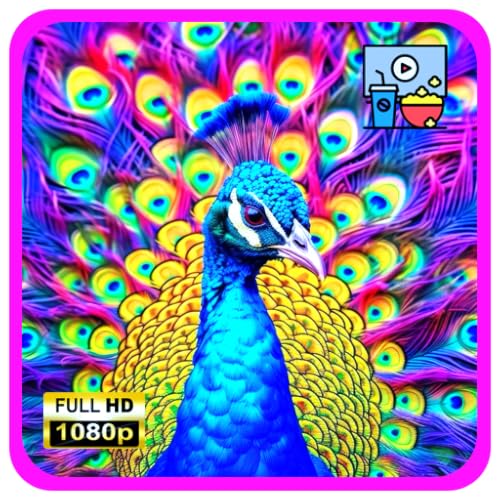 Peacock Prism Show – Vivid Feather Colors & Royal Visual Display