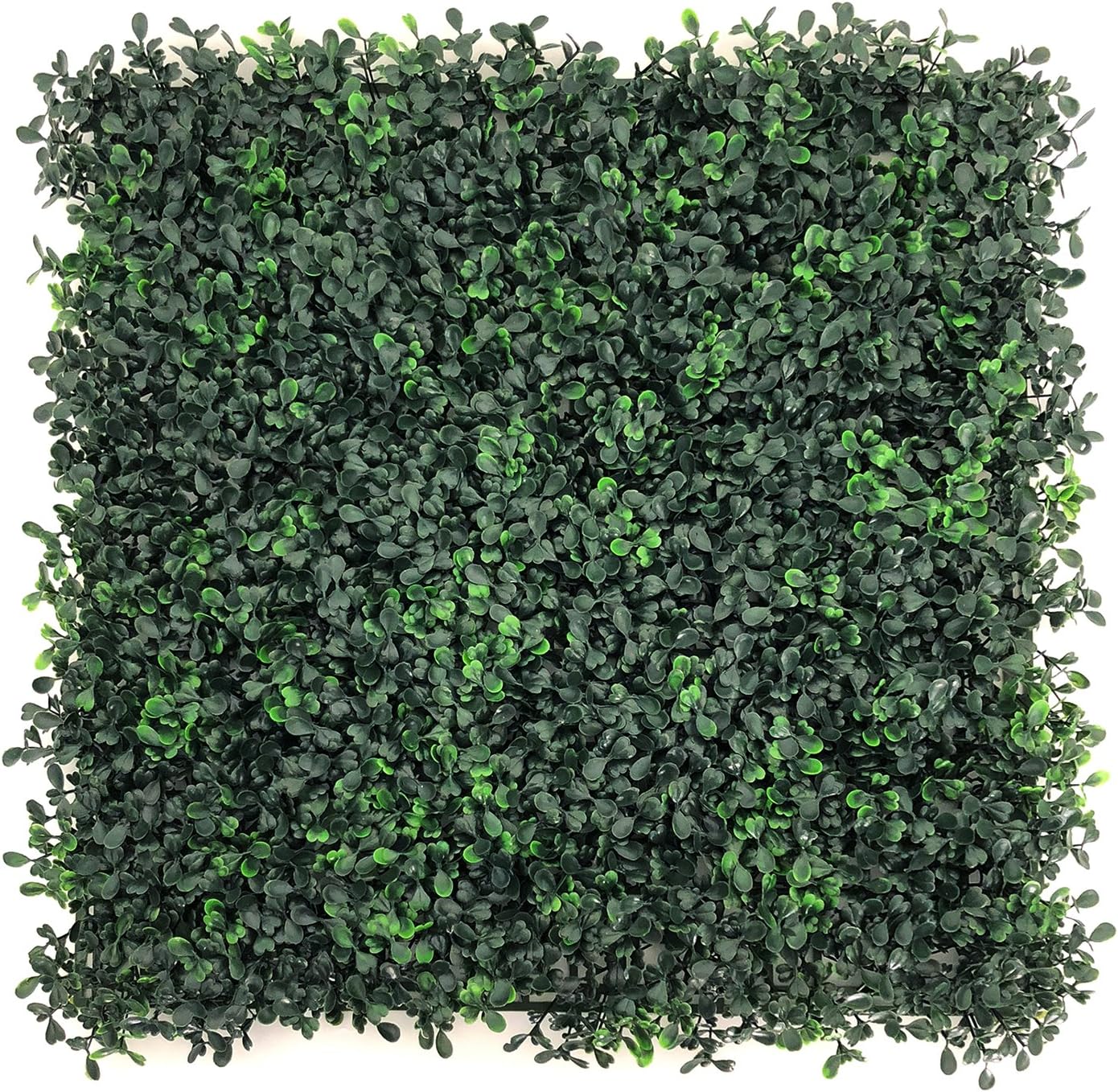 BESAMENATURE 12pcs 20"x20" Artificial Plants Wall Boxwood Hedge Mat, UV Protection High Density Greenery Panels, Cable Ties Included, Dark Green