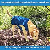 Ver la foto 5