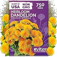 Vista 36 de KVITER 25 semillas de algodón blanco para plantar (Gossypium hirsutum) – Planta de algodón real, semillas de algodón para cultivo, semillas