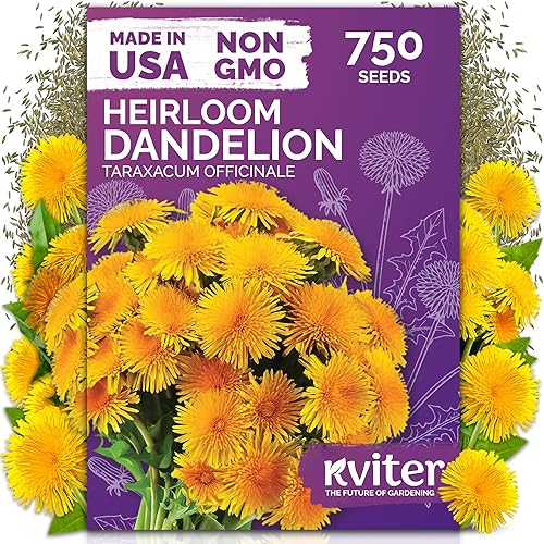 Miniatura 36 de KVITER 7000 semillas de milenrama roja (Achillea Millefolium Rubra) - Semillas de flores perennes para plantar en el exterior, reliquia y orgánicas