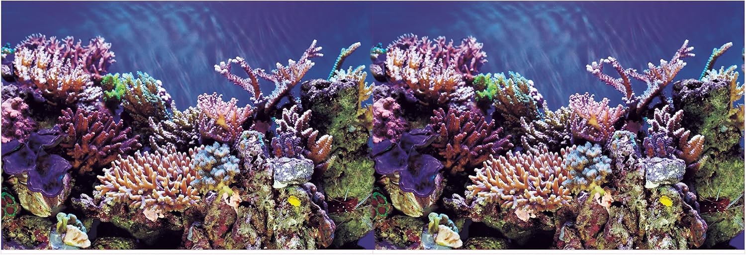 Aquarium Background Ocean Seabed /Coral Reef Double sides (48WX24H)
