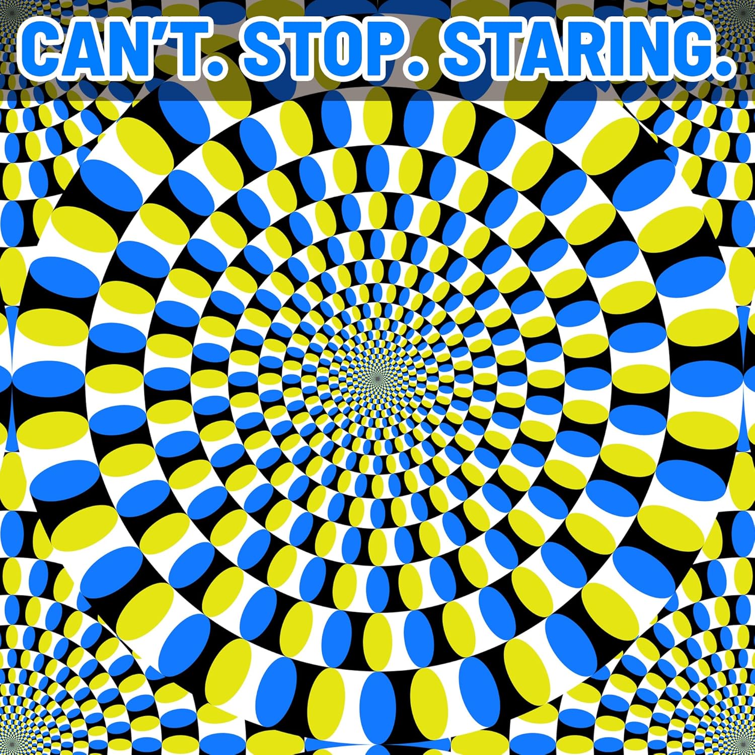 Funwares Optical Illusion Puzzle – 1000 Piece Expert-Level Jigsaw for Adults – Hypnotic Visual Movement – Modern Art Challenge – Elegant Gift for Puzzle Pros & Design Lovers