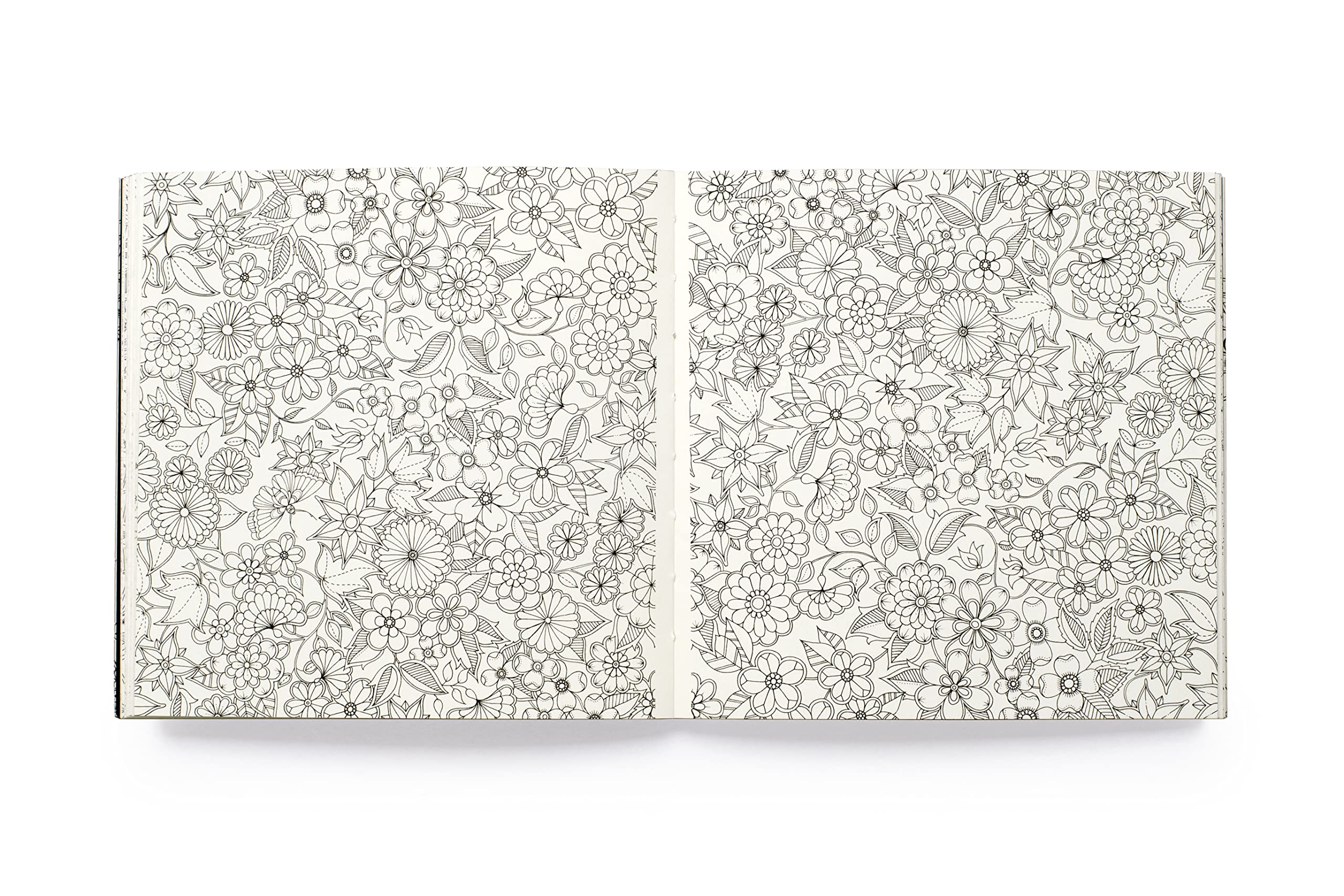 Miniature Secret Garden /anglais: A Pocket-Sized Coloring Book for Adults