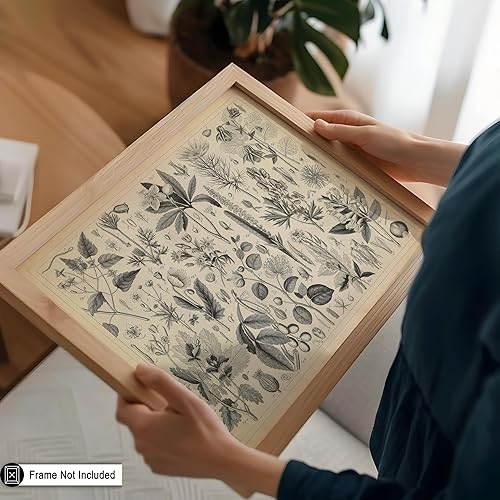 Miniatura 5 de Poster Master Póster vintage de plantas cultivadas, impresión botánica retro, arte de flores, arte de plantas, regalo para hombres y mujeres, gran