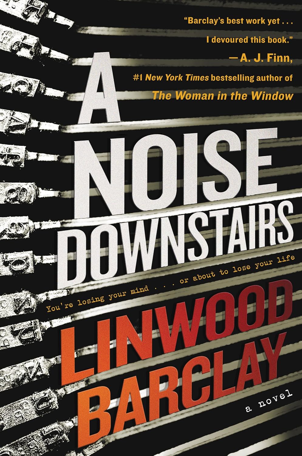 Noise Downstairs, A: A Novel