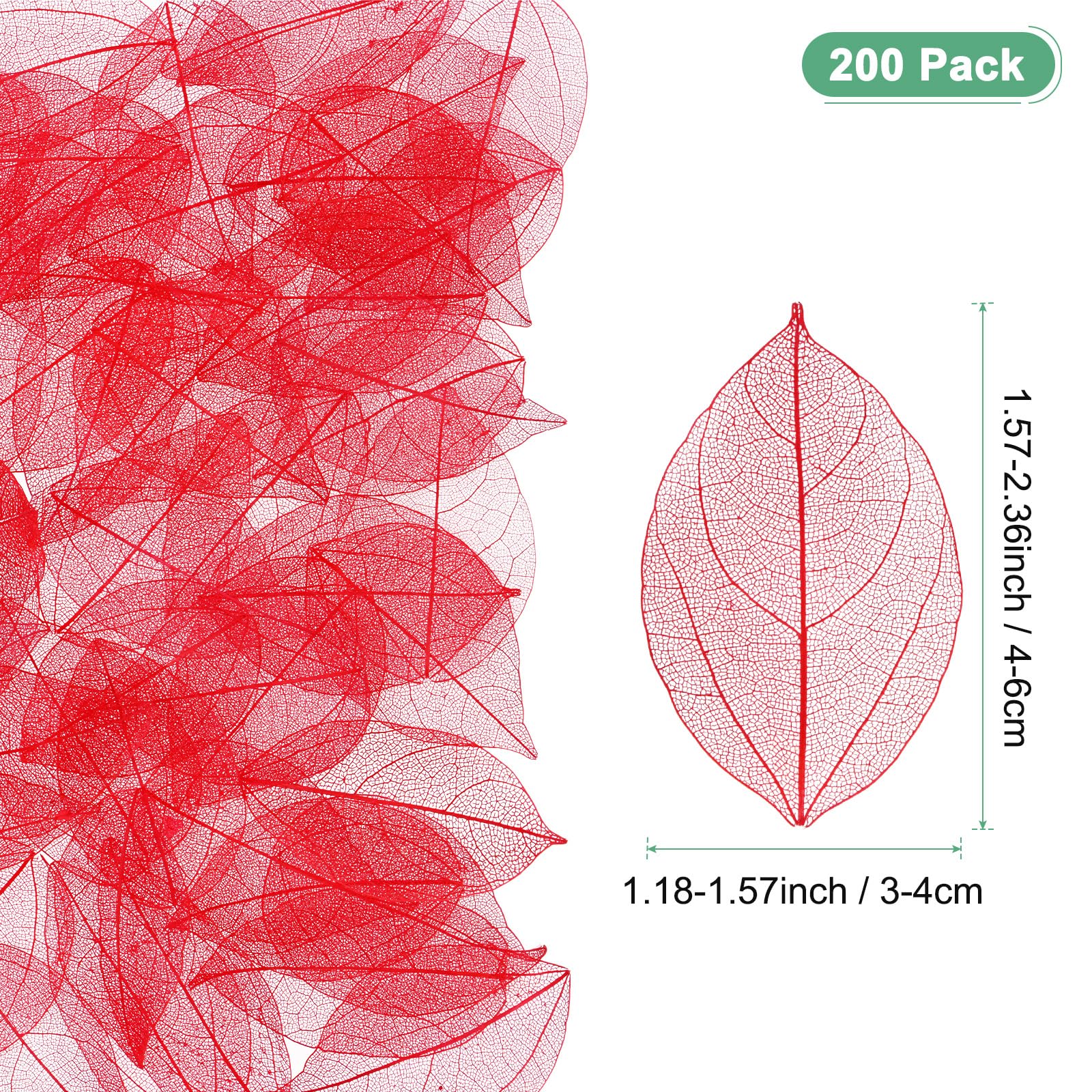 M METERXITY 200-Pack Skeleton Leaves - Image 3