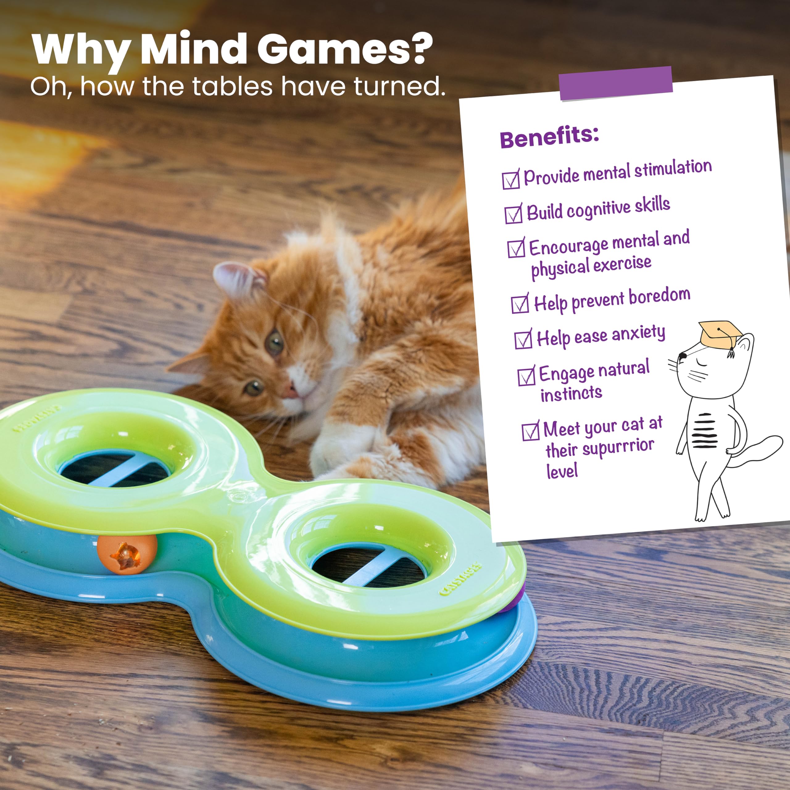 Catstages Infinity Ballbahn für Katzen mit Zwei Bällen, einschließlich einem beleuchteten Ball, Figur 8 geformte Katzenballbahn kompatibles Topper-Spielzeug, Grün