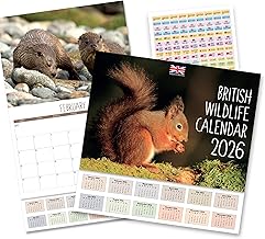 2026 Calendar - Calendar 2026 UK British Wildlife. One Month to View. A3 when open. Wall Calendar by Absolutely Yours.