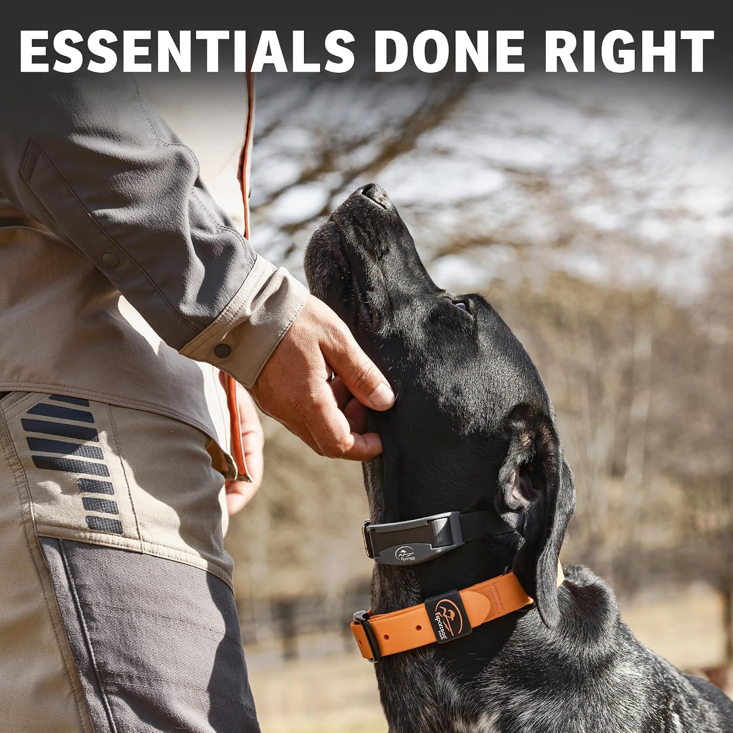 SportDOG Rugged Utility Dog Collar, Orange, Medium | Waterproof, Stink-Proof Coated Webbing and Stainless Steel Hardware, Silicone Strap Keeper, 1 in Wide, Fits Necks 12-19 in