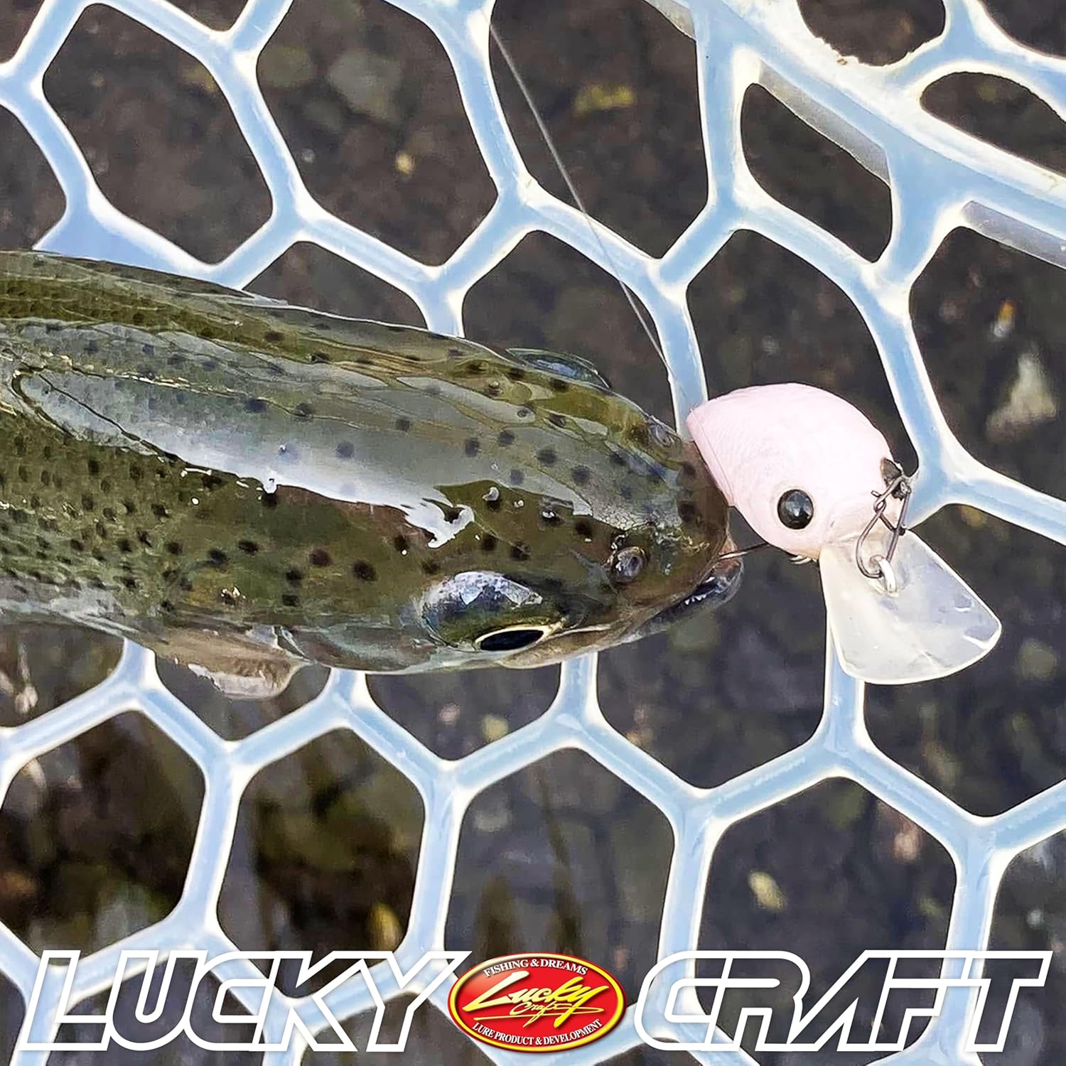 Lucky Craft (Lucky Craft) Lure maikurokurapi- DR2 Hook SS Sesame Sherbet II