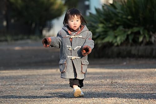 Miniatura 2 de Canon EF-S 2.165-9.843 in f/4-5.6 IS Estabilizador de Imagen Teleobjetivo Zoom Lente - Versión Internacional (Sin Garantía)