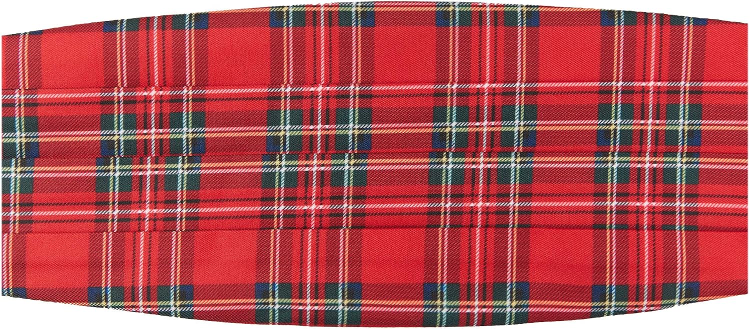 Jacob Alexander Royal Stewart Red Plaid Kids' Cummerbund