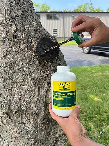 Miniatura 3 de Cepillo para aderezo de heridas, 32 onzas para árboles y arbustos, pasta curativa y sellador de heridas de árboles, sellador de poda, compuesto de