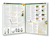 Vista 2 de Guía de jardinería y plantas perennes - Guía de referencia rápida para el hogar y el jardín por Permacharts