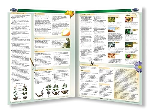 Miniatura 2 de Guía de jardinería y plantas perennes - Guía de referencia rápida para el hogar y el jardín por Permacharts