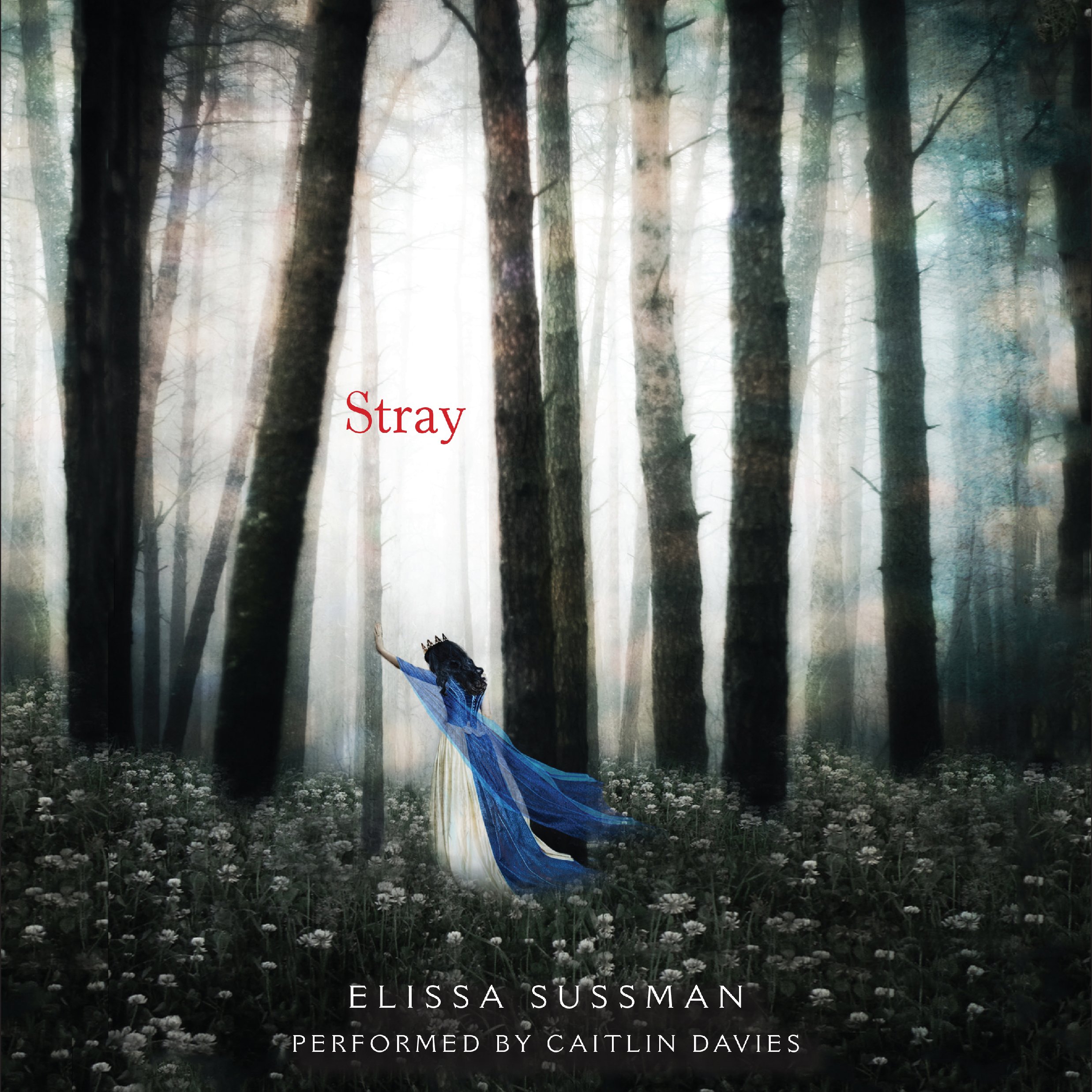 Cover art for Stray