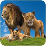 Jungle Kings Kingdom Lion Family