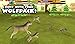 Wildlife Simulator: Wolf