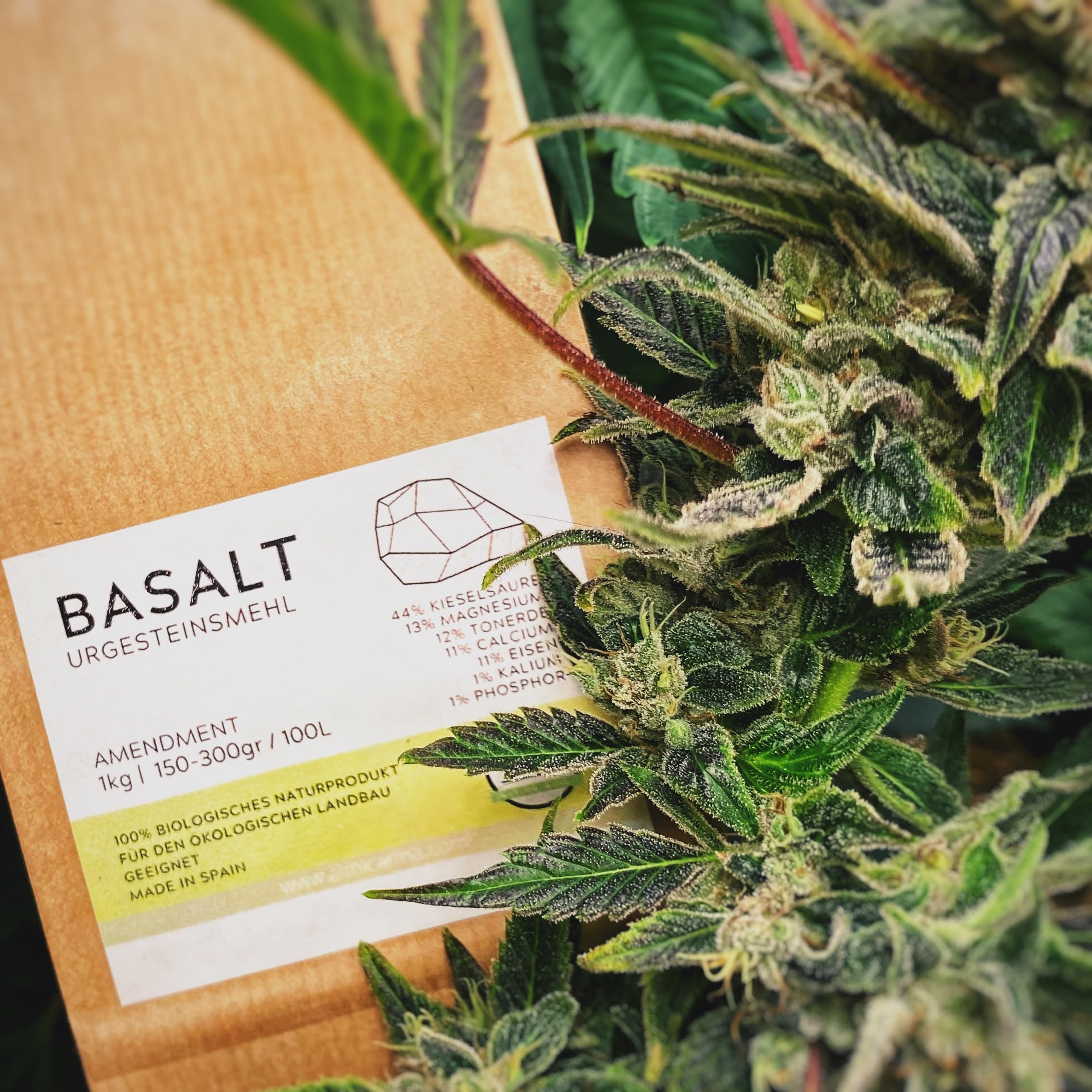 Farine de roche de basalte très finement moulue, 1 kg, engrais minéral et aide au sol pour la culture du cannabis