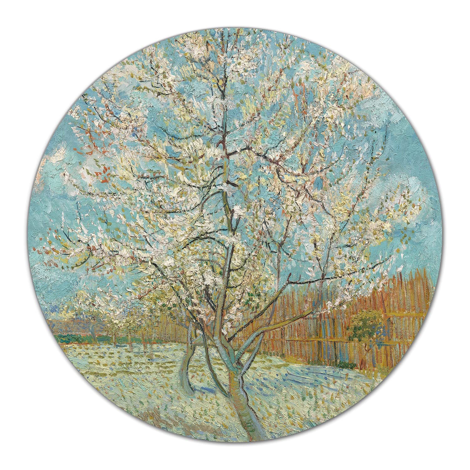 Coloray Glas Schneidebrett 40cm Herdabdeckplatte Servieren von Speisen Spritzschutz Glasabdeckplatte Gehärtetes Glas Induktionsherdabdeckung - Frühlingsbaum