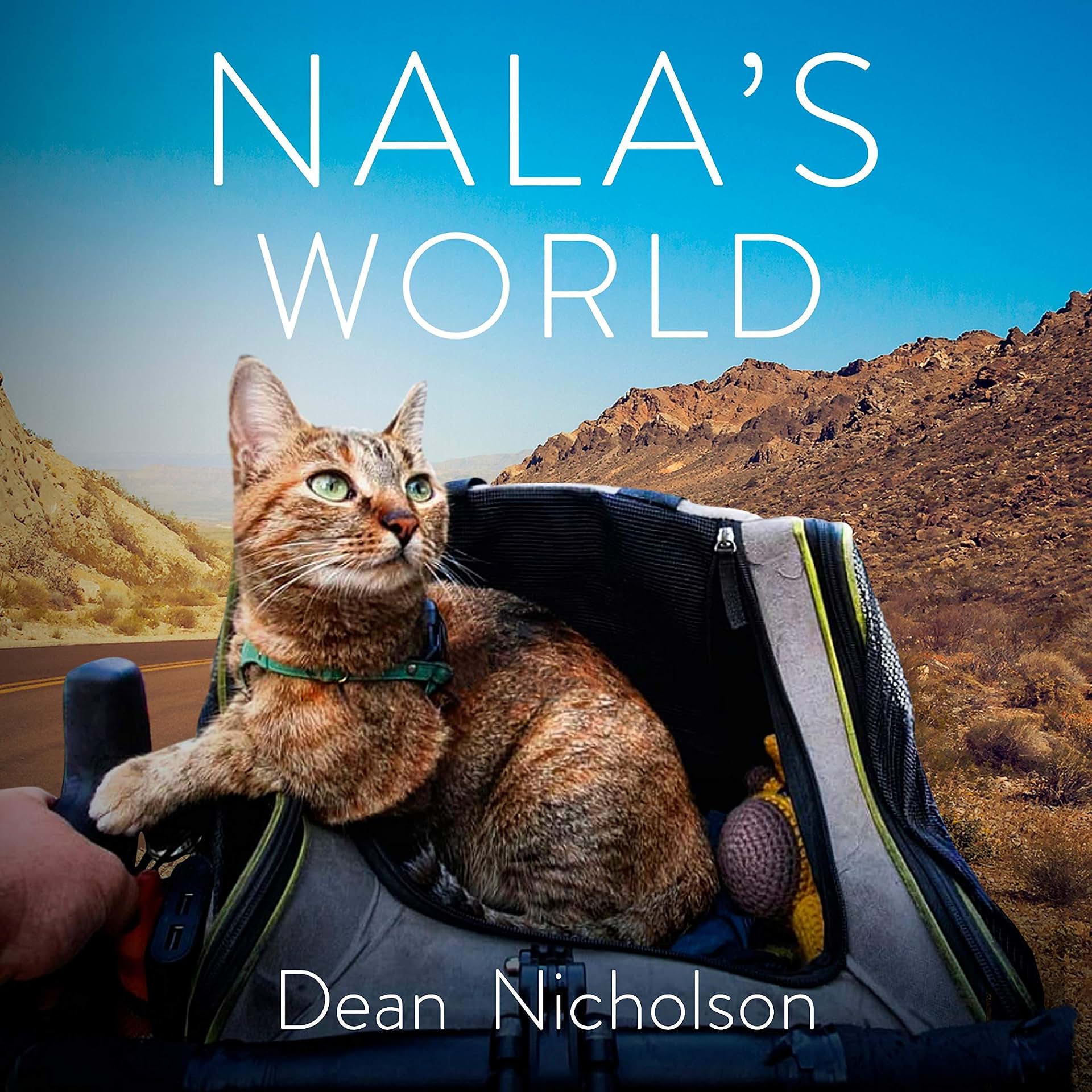 cover-image