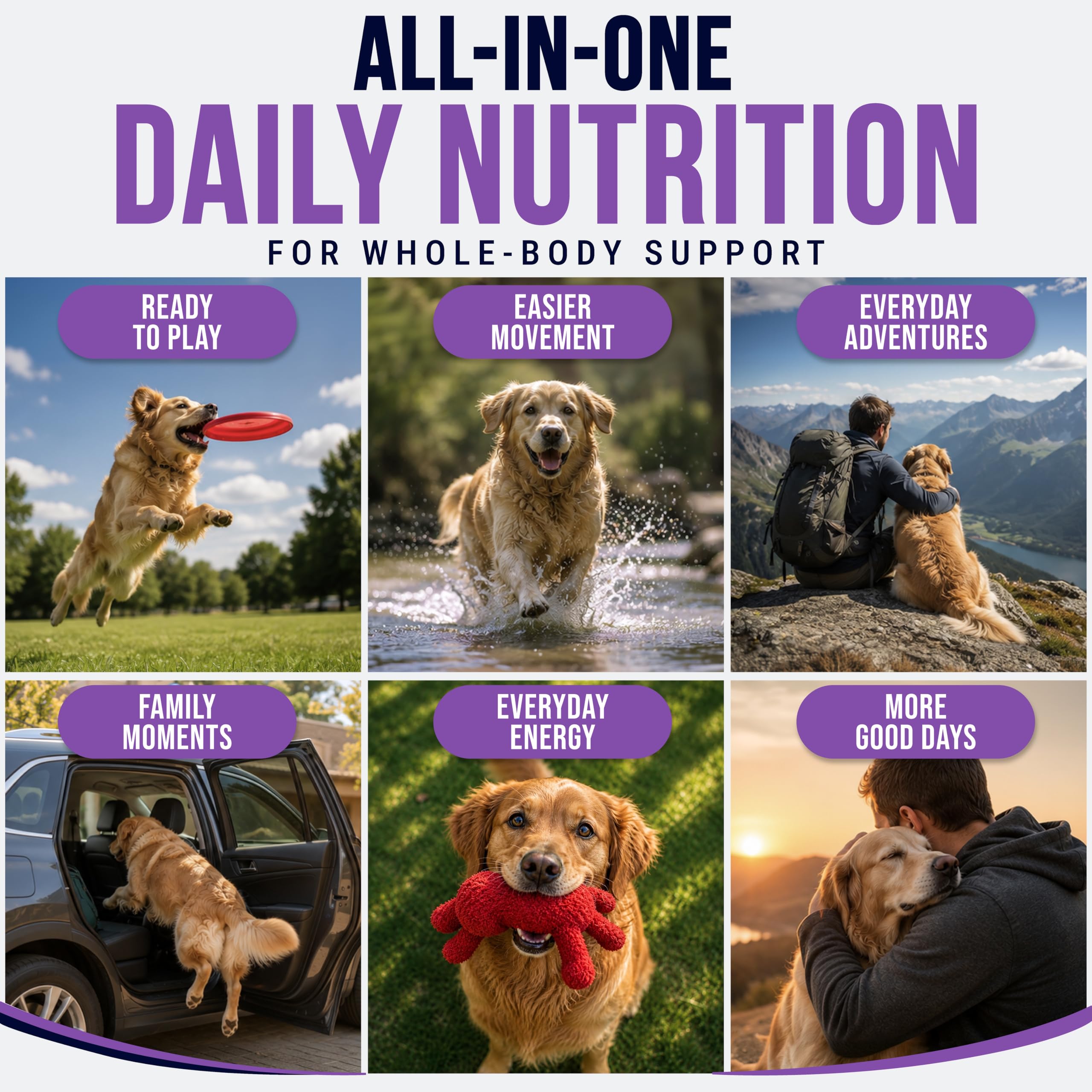 25-in-1 Dog Vitamins and Supplements, 250 Chews, Dog Multivitamin Chewable — Amazon image 7