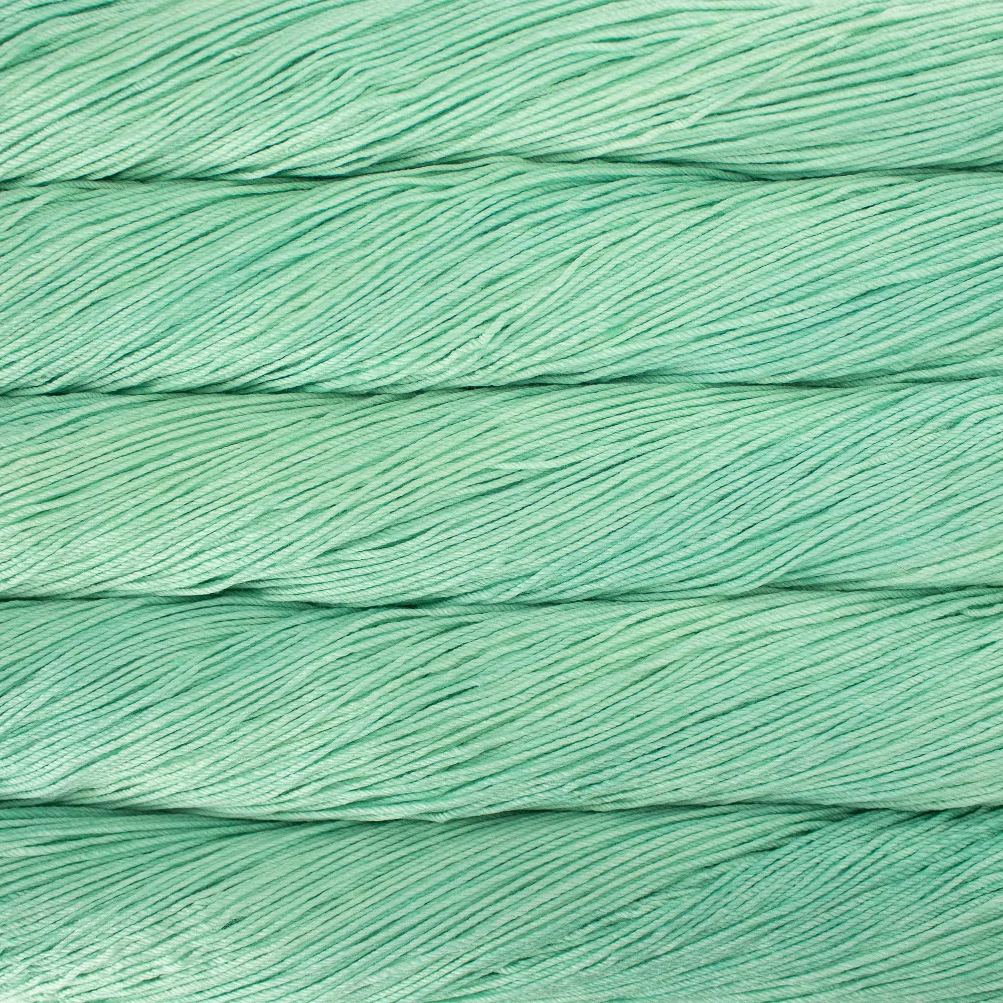 Malabrigo Yarn Arroyo (083 - Water Green)