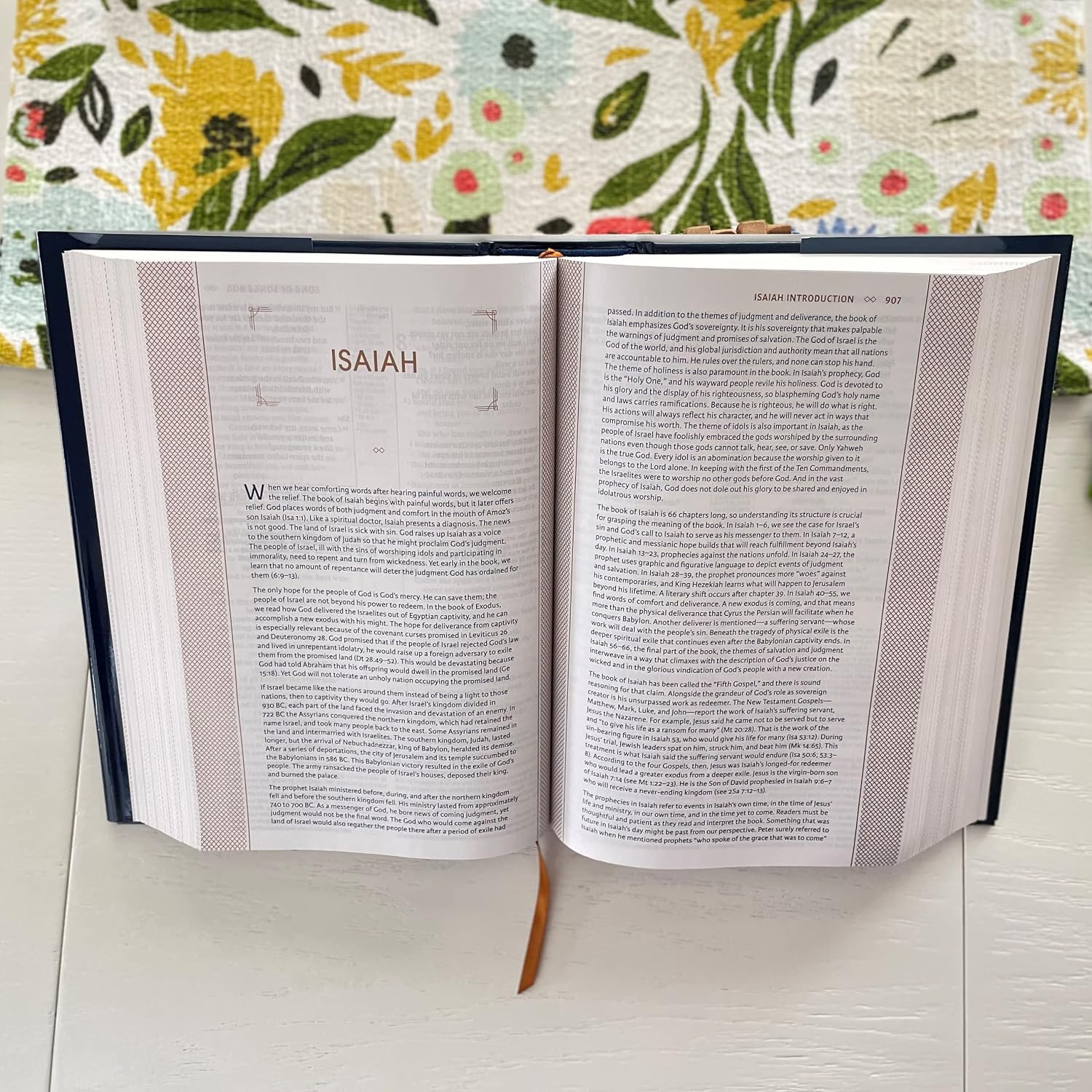 NIV, The Grace and Truth Study Bible (Trustworthy and Practical Insights), Hardcover, Red Letter, Comfort Print