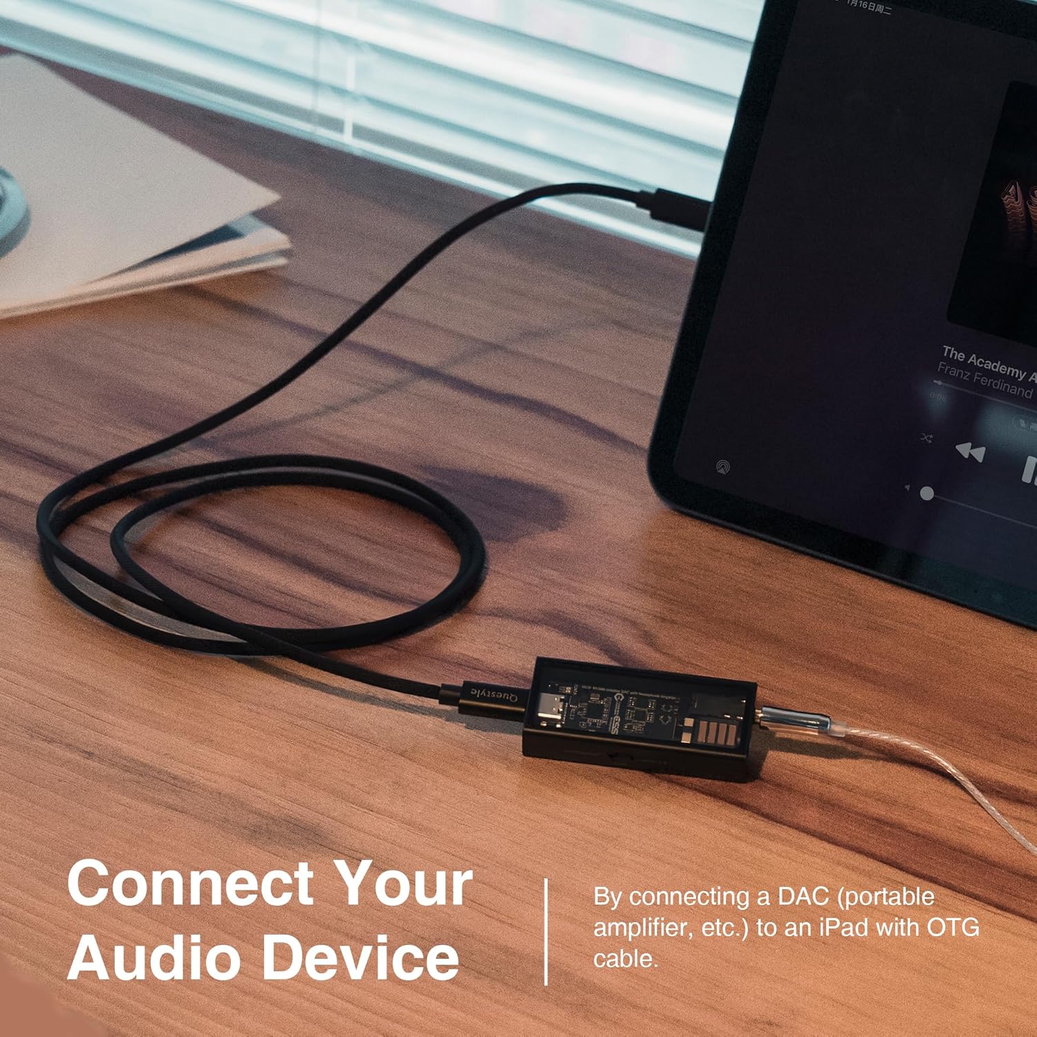 Connecting Questyle OTG cable to an iPad and DAC