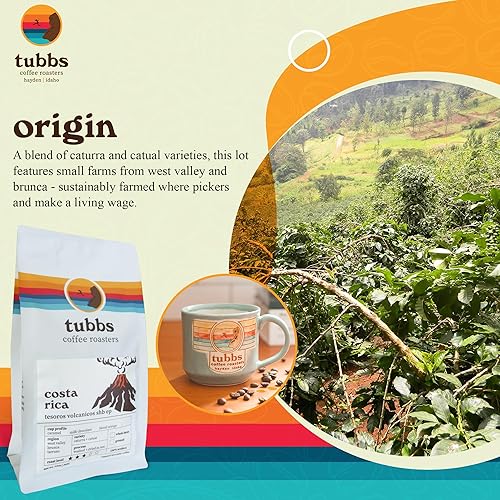 Miniatura 5 de tubbs coffee roasters Café de grano entero Costa Rica - 100% granos de café arábica tostado medio - pequeños lotes tostados granos de café enteros -