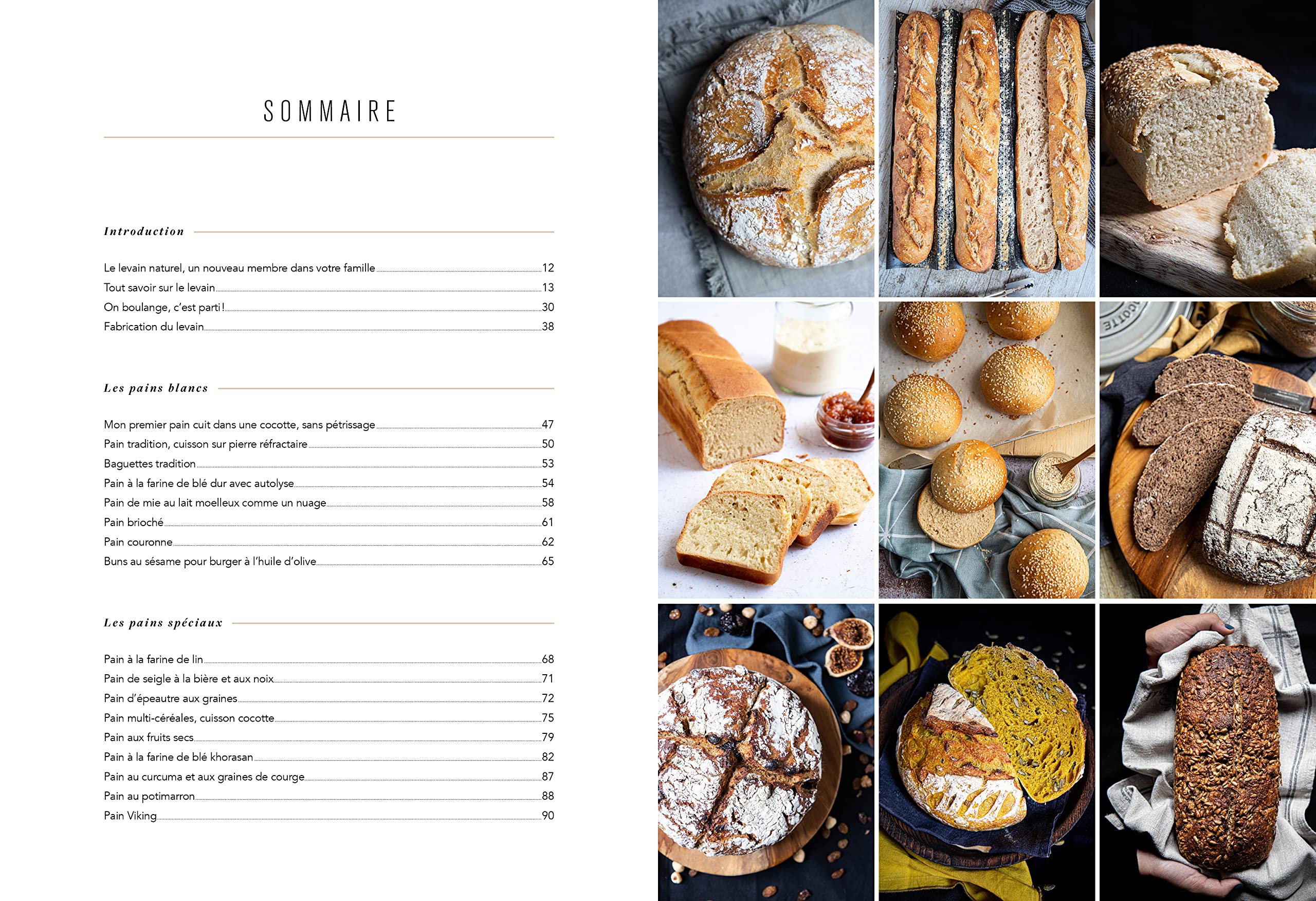 Levain, mon beau levain