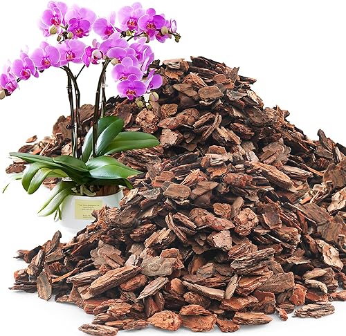 Vista 34 de AVALUTION Corteza para macetas de orquídeas: corteza de orquídea orgánica de 9 cuartos para plantas, todos los chips de madera de corteza de pino