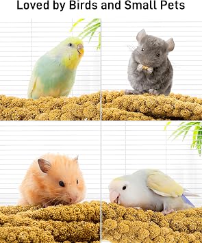 BUCATSTATE 3.3lbs Millet for Birds, Sun-Dried Parakeet Food for Parrot, Budgie, Cockatiel, Finches, Lovebird, GMO-Free Parakeet Treats (3 Pack)