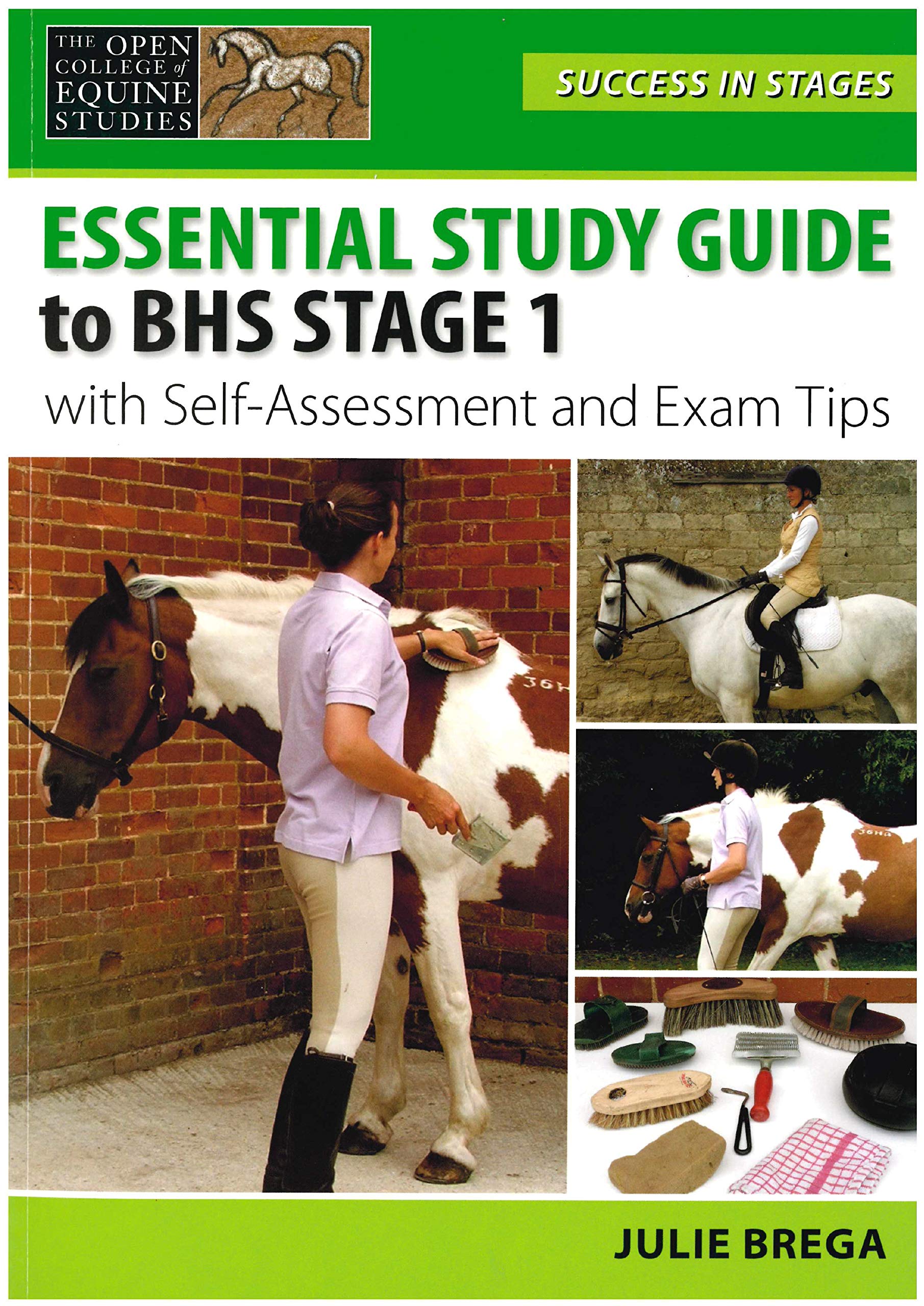 Essential Study Guide to BHS Stage 1 with Self-Assessment and Exam Tips (Success in Stages Series)