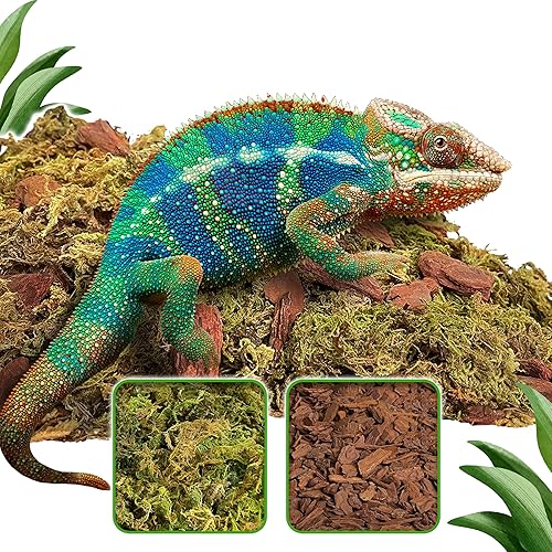 Miniatura 1 de Duspro Reptile Bedding Forest Moss Mix Pine Bark, Sustrato para tanque de reptiles, Ropa de cama de piso para reptiles, Ropa de cama de tortuga