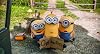 Minions [DVD] [2017]