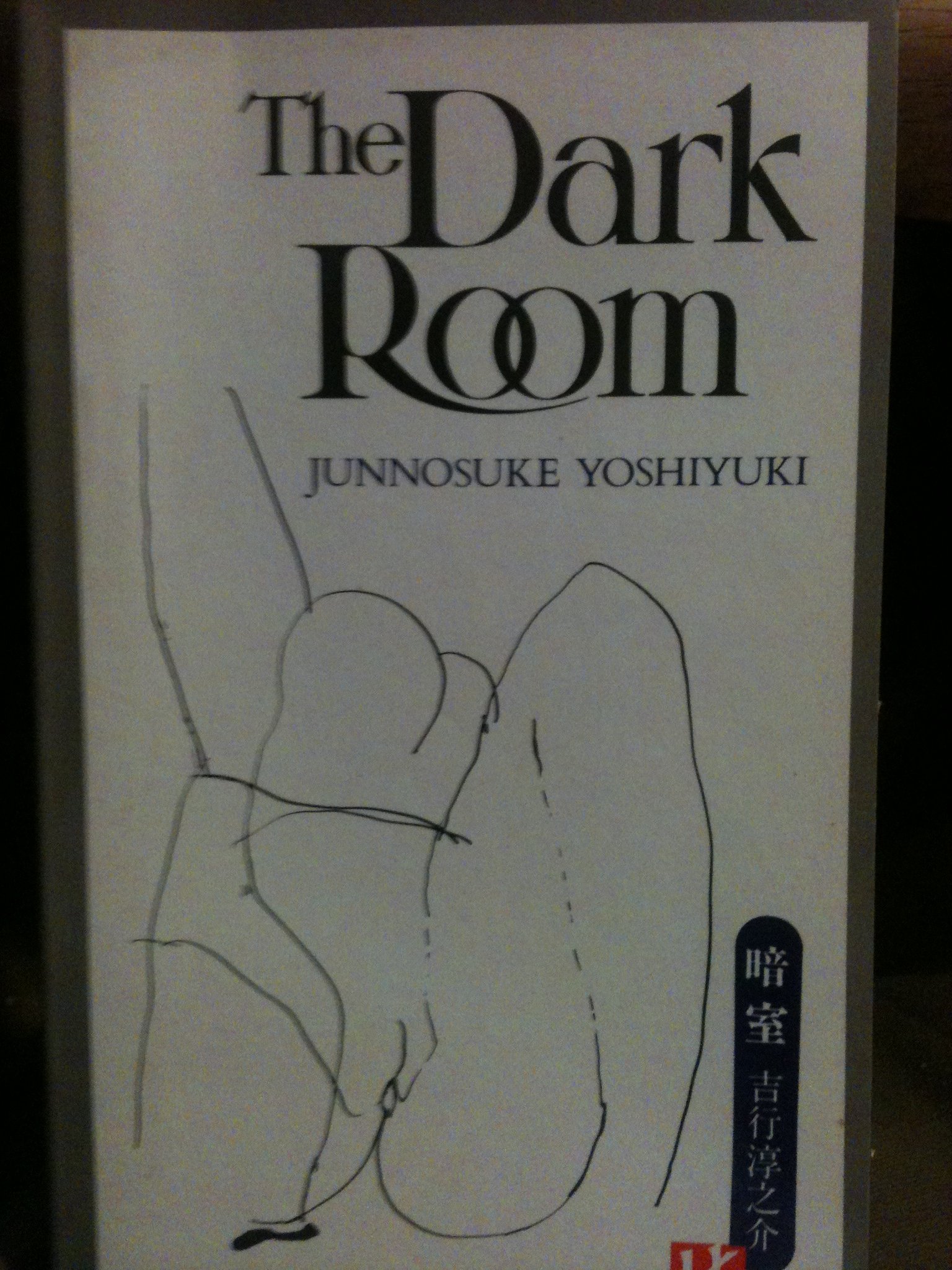 Buy The Dark Room (Translated by John Bester) โ BookShops.in