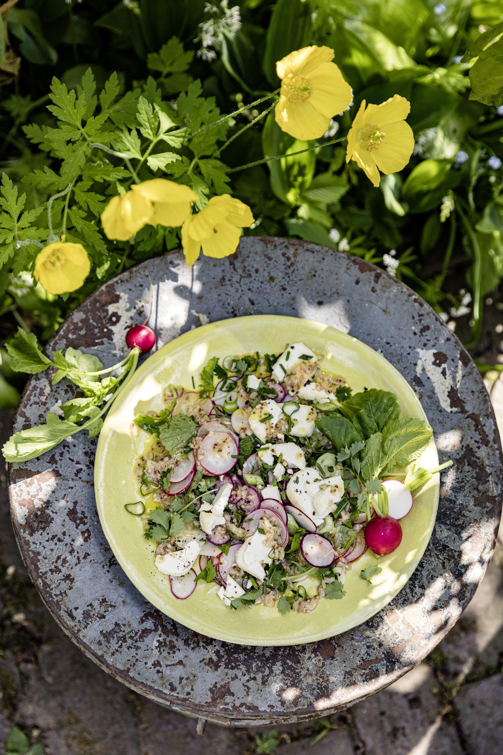 Meine grüne französische Bistro-Küche: Lieblingsrezepte für jeden Tag