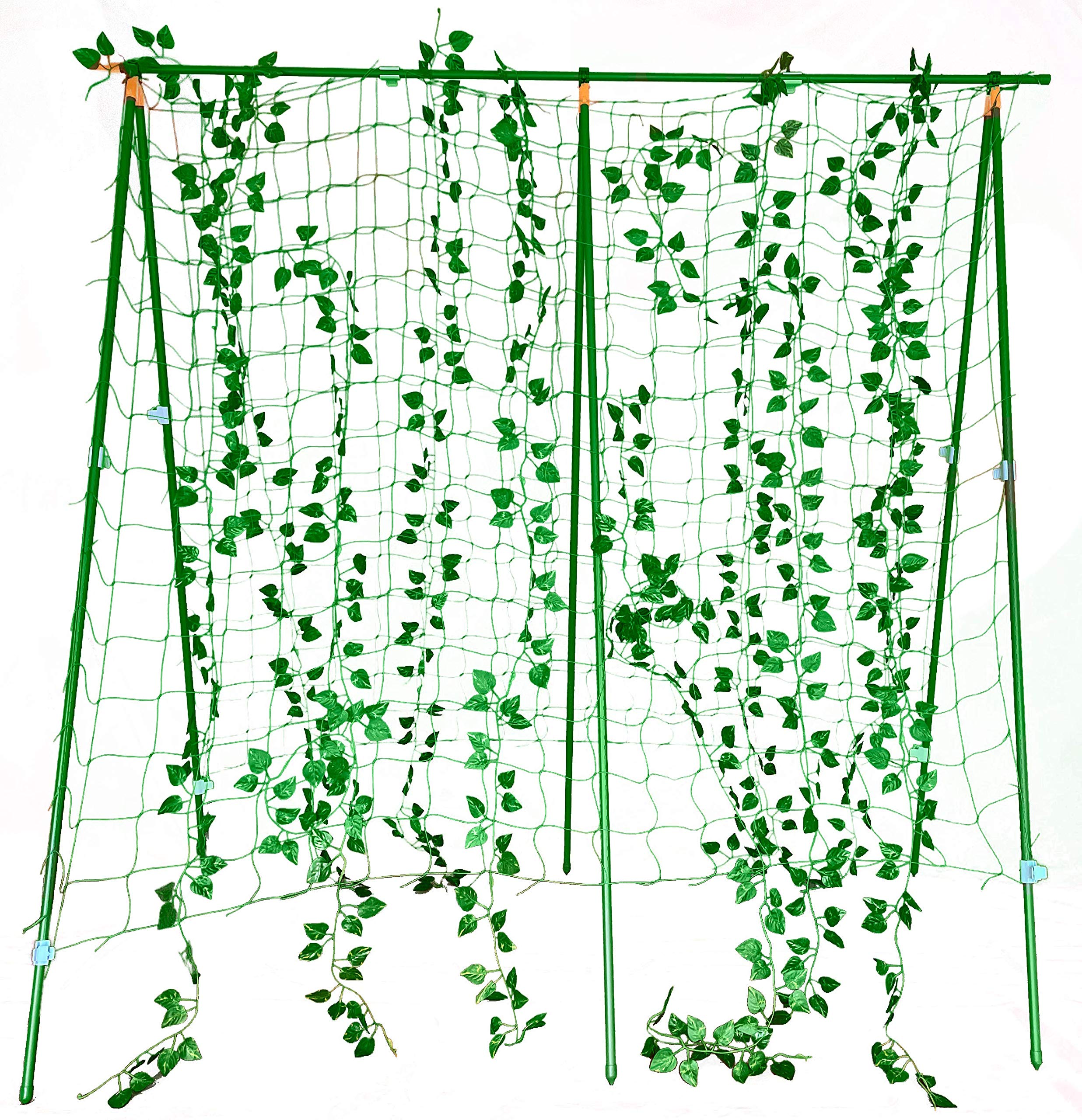 Buy Reinforced Metal Garden Trellis for Climbing Plants Outdoor on or