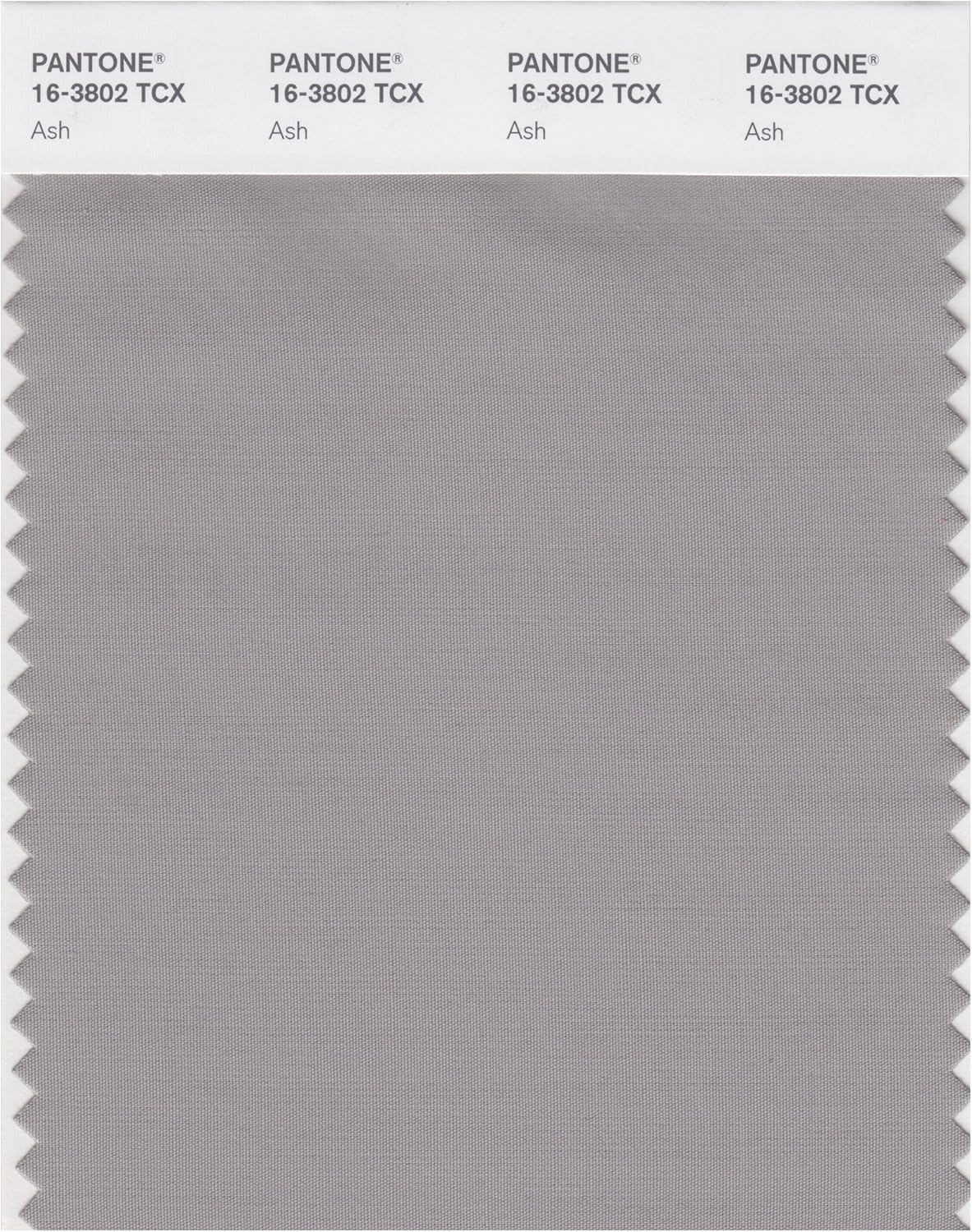 PANTONE Smart 16-3802X Color Swatch Card, Ash