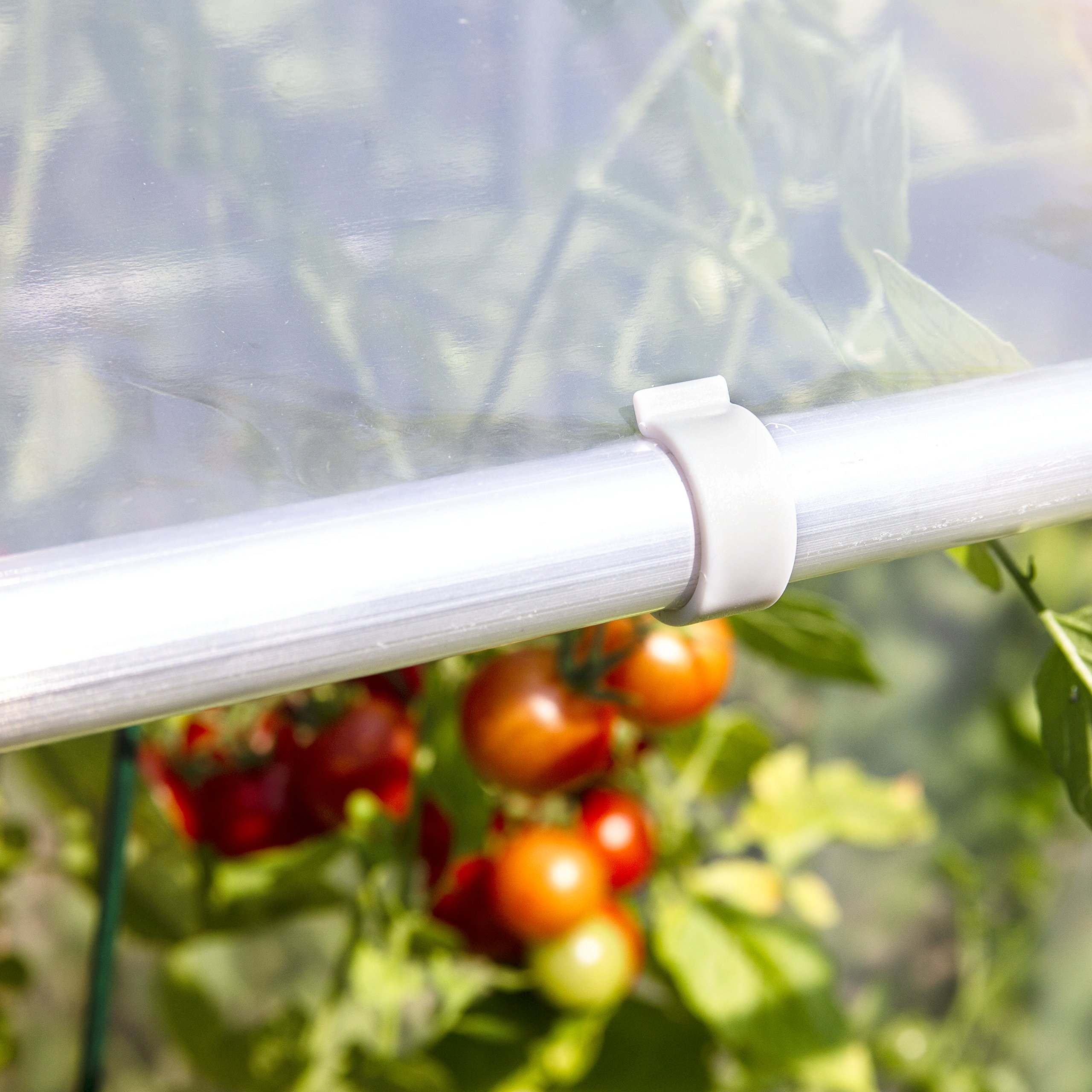 Windhager Tomatengewächshaus Alustar Premium, Tomatenhaus zur Anzucht von Gemüse, Stabiles Gewächshaus, Frühbeet- und Tomatenzelt, UV-Beständig, 170 x 150 x 80 cm, 38111