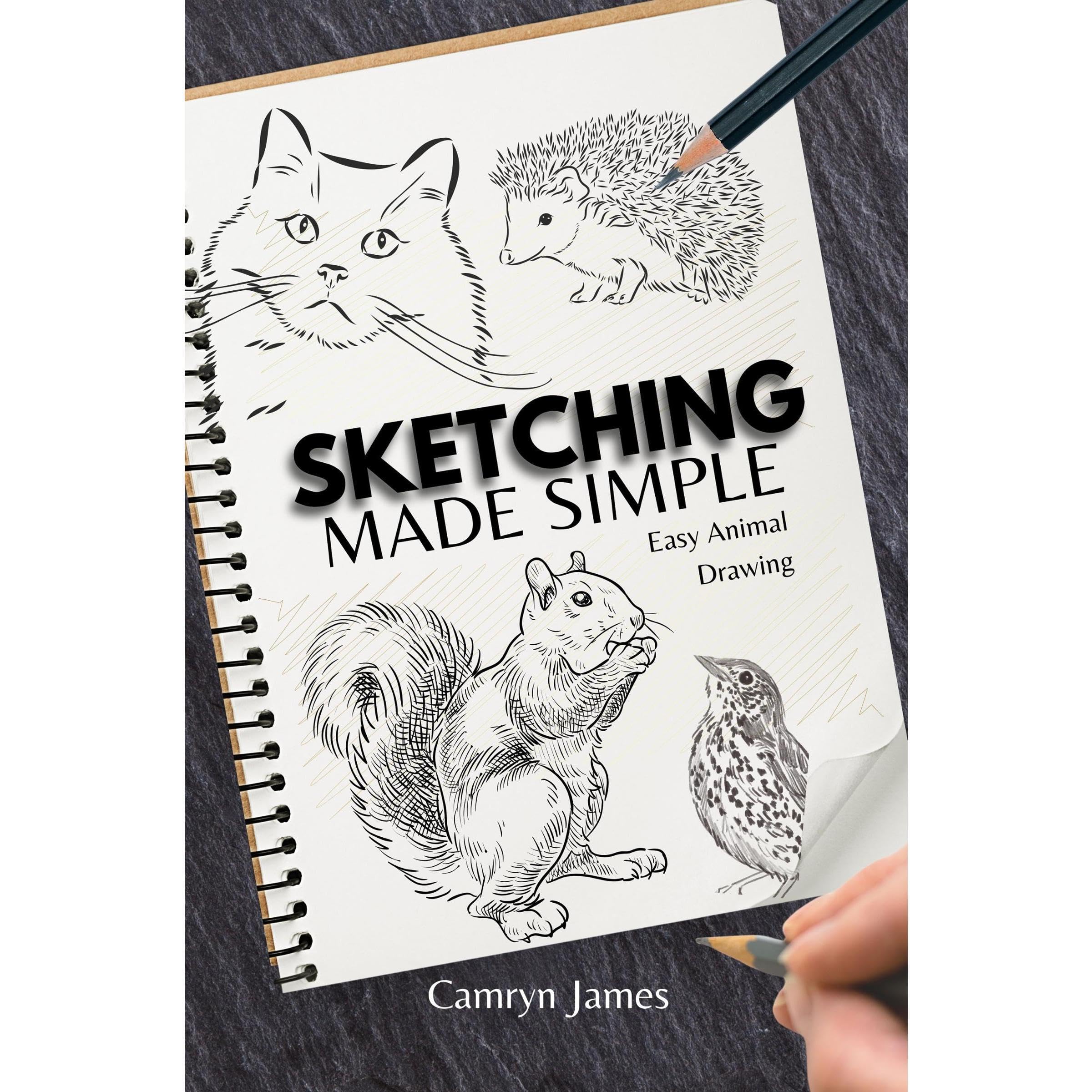 Sketching Made Simple