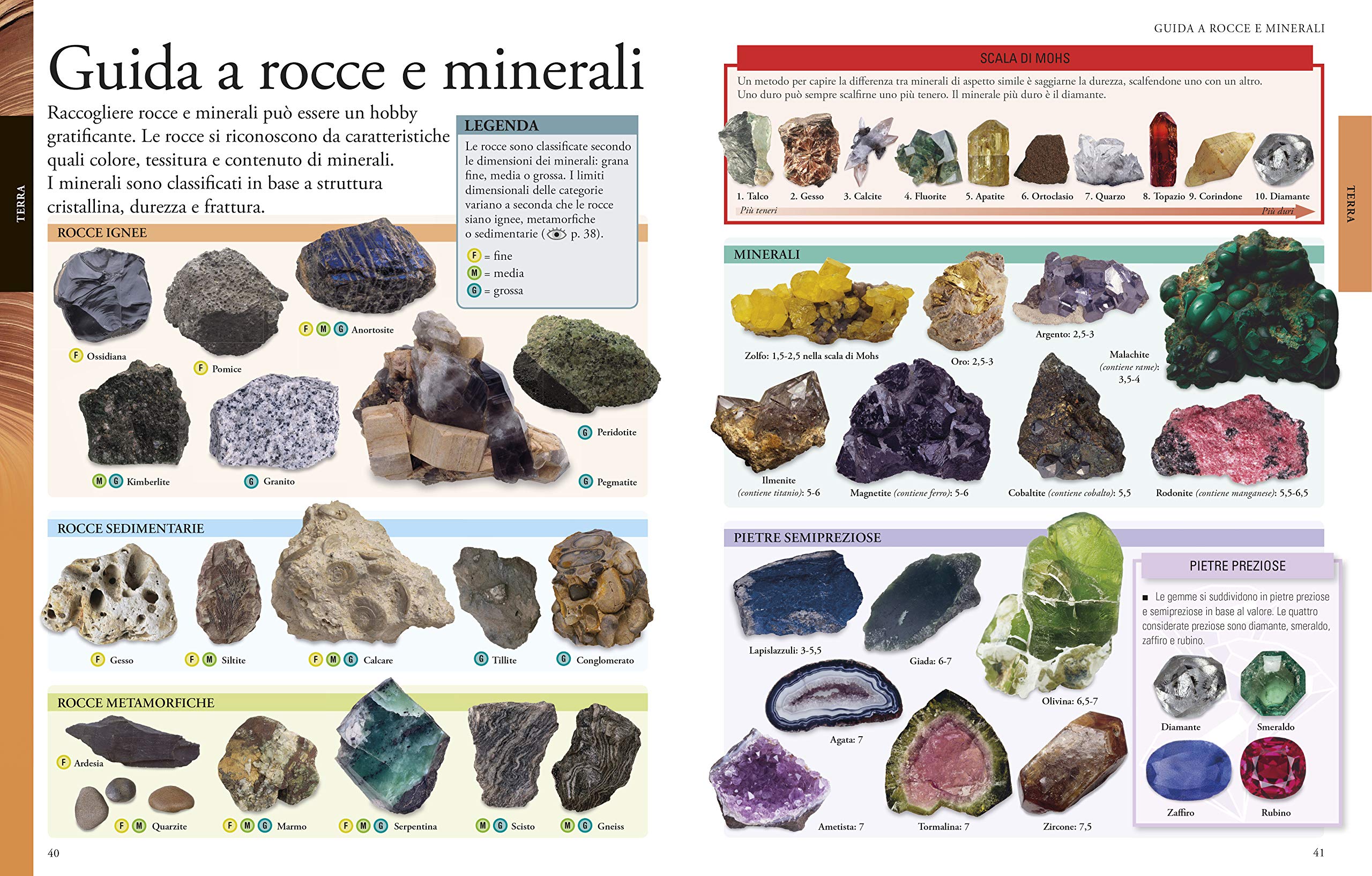 La grande enciclopedia dei ragazzi. Un volume completo, ricco di informazioni, curiosità e immagini