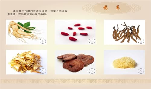 Health Treasure: the Wisdom of Traditional Chinese Medicine