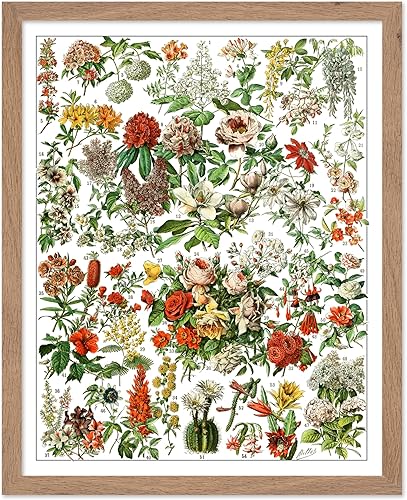 Miniatura 281 de Poster Master Póster vintage de orquídea, estampado de flores retro, arte de pared de plantas exóticas, arte botánico, regalo para hombres y