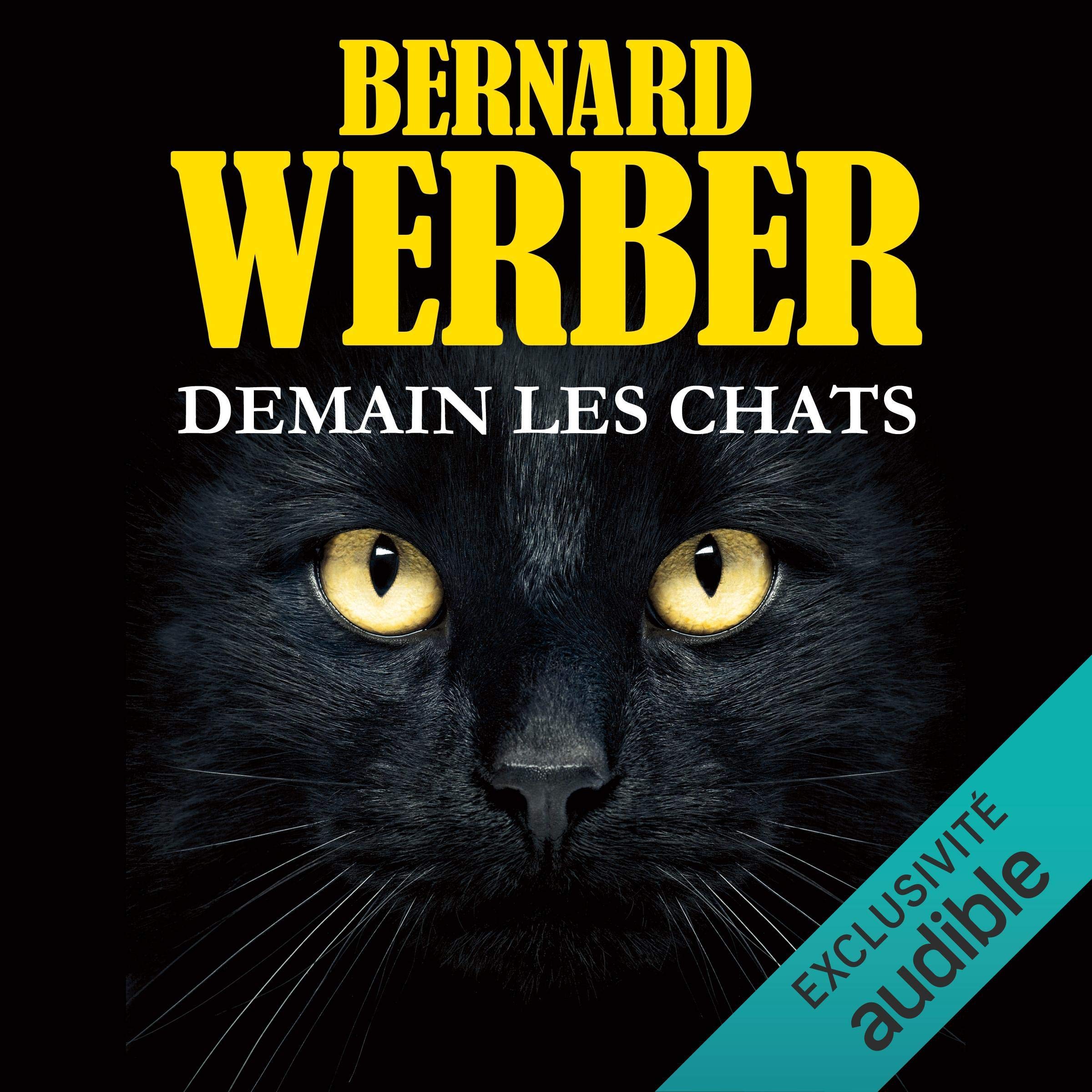 Cover art for Demain les chats