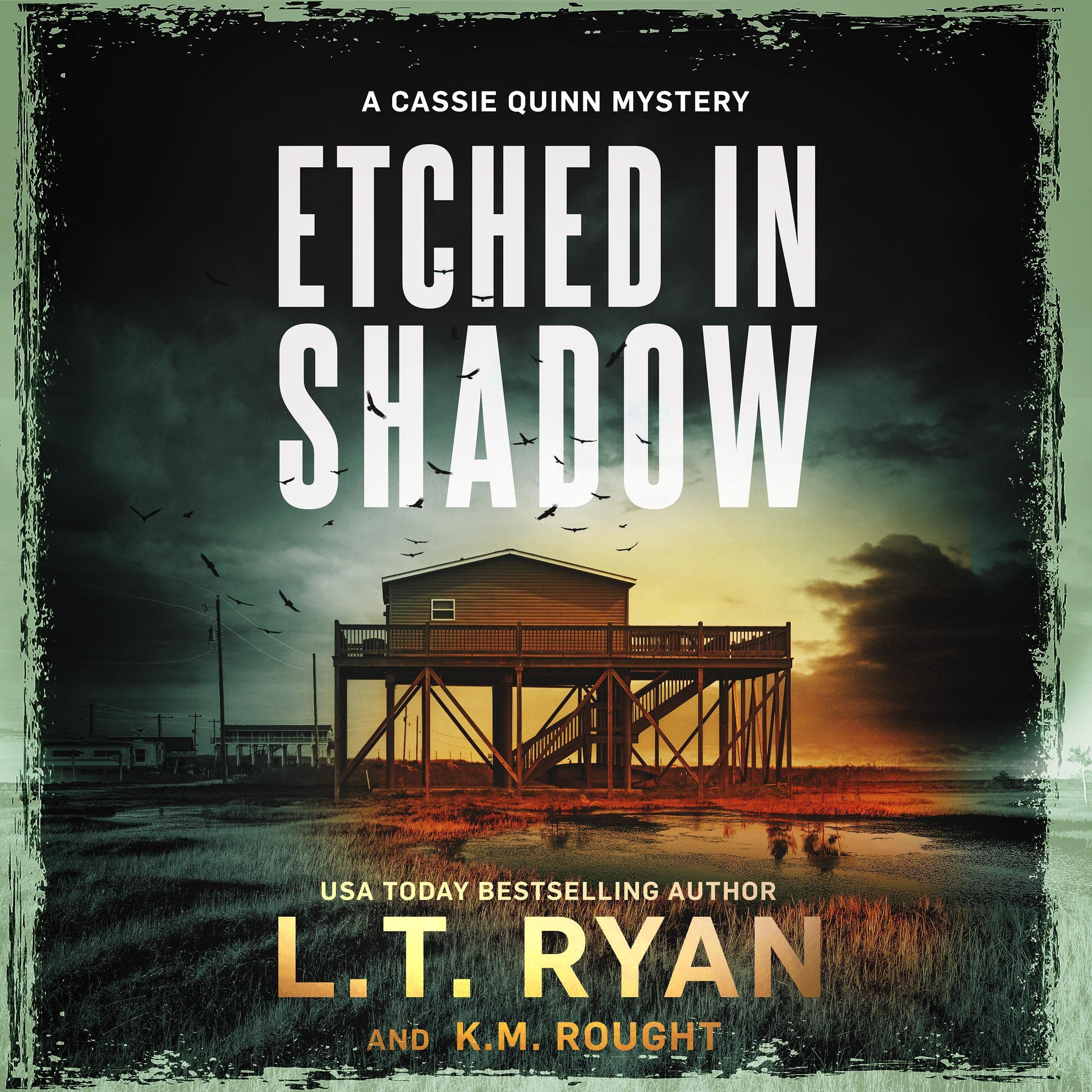 Cover art for Etched in Shadow