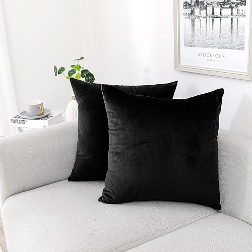 NiNi ALL Decorative Throw Pillow Covers Pack of 2, Velvet Throw Pillow Cases for Couch Pillows Cover Bedroom Living Room Outdoor, Pillow Covers 18x18 Inch Black