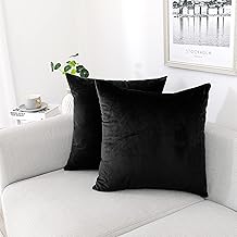 NiNi ALL Decorative Throw Pillow Covers Pack of 2, Velvet Throw Pillow Cases for Couch Pillows Cover Bedroom Living Room Outdoor, Pillow Covers 18x18 Inch Black